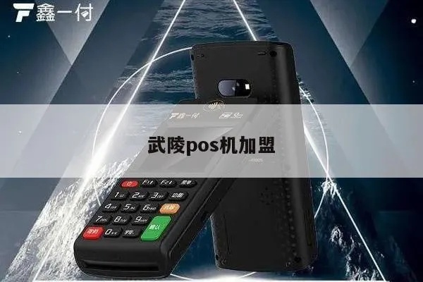 武陵pos机申请流程详解，武陵pos机办理指南