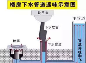 pos机没圈纸了怎么办（解决pos机缺纸问题的方法）