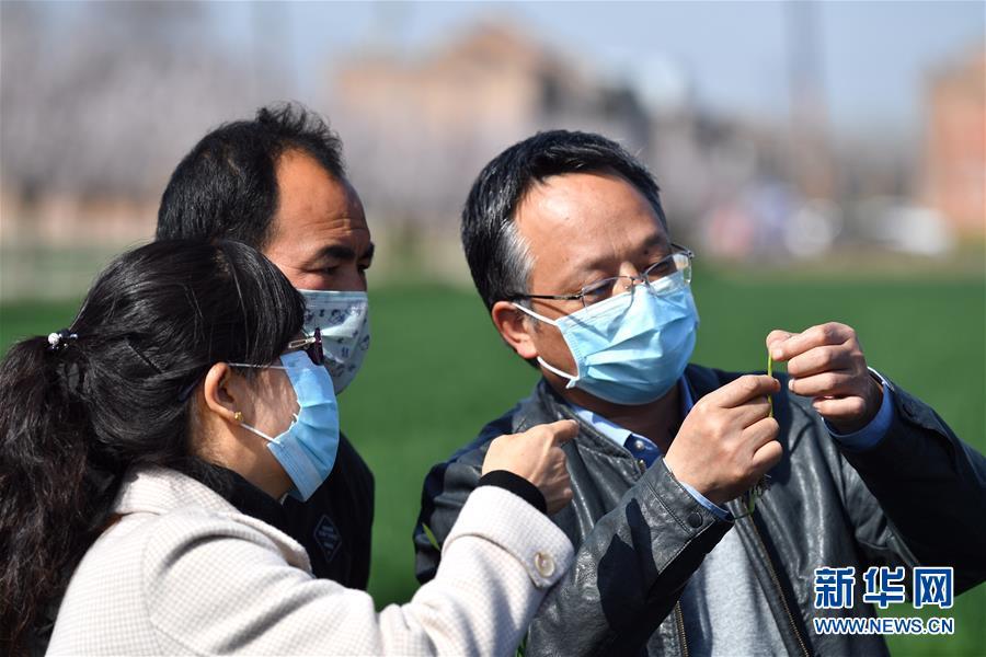 在周至地区，如何找到专业且可靠的POS机刷卡服务？