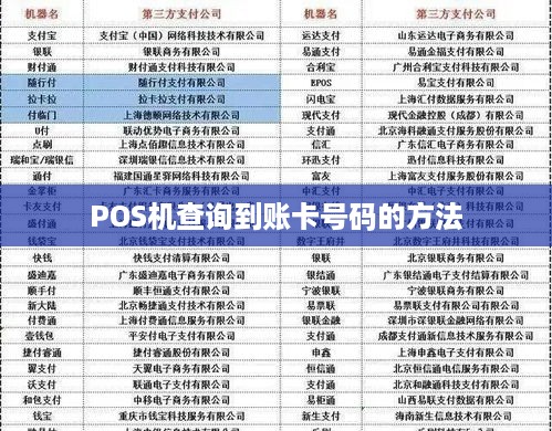 中付支付pos机编号查询攻略，一文解读如何快速找到你的专属编号