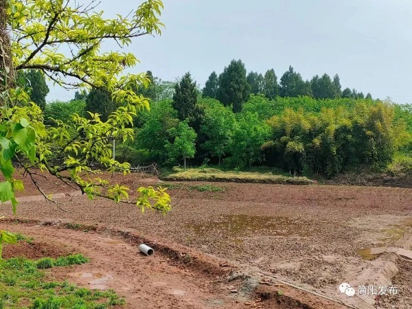 探索与发现，在简阳山岔如何找到最佳的POS机刷卡地点