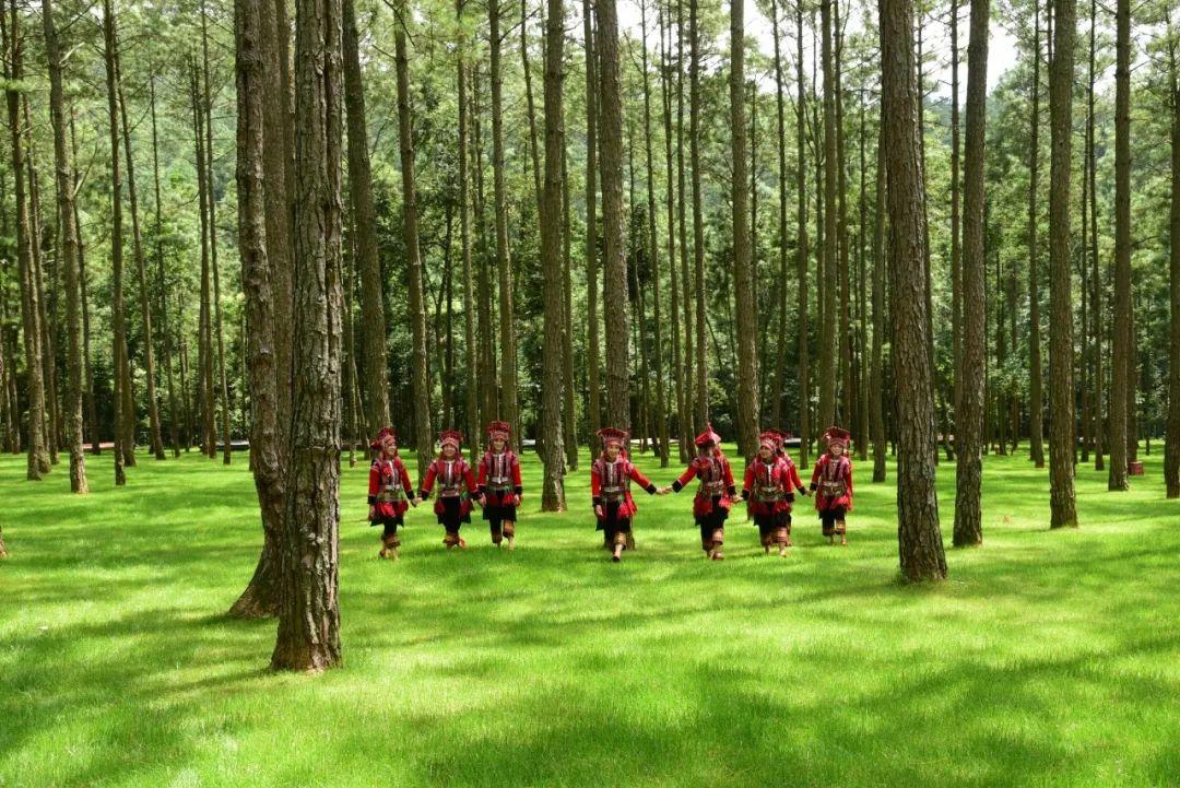 探索之旅全球知名POS机生产厂家地址一览