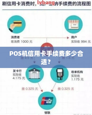 个人信用卡POS机办理全攻略，寻找最佳服务与最低费率