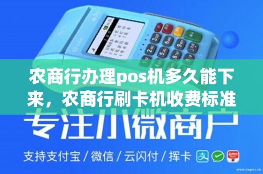 农业POS机办理全攻略，助力农业商户实现便捷支付与高效管理