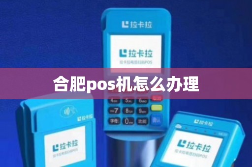 合肥大pos机办理全攻略——轻松掌握必备条件和步骤