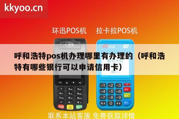 呼市POS机办理全攻略，申请流程、注意事项及常见问题解答