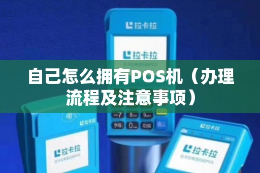 网络POS机办理全攻略，步骤、条件及注意事项