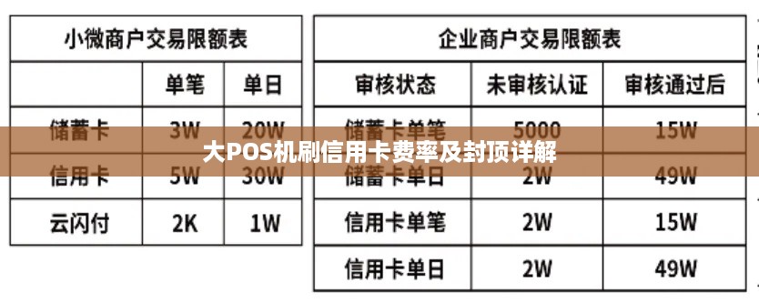 大POS机办理费用详解