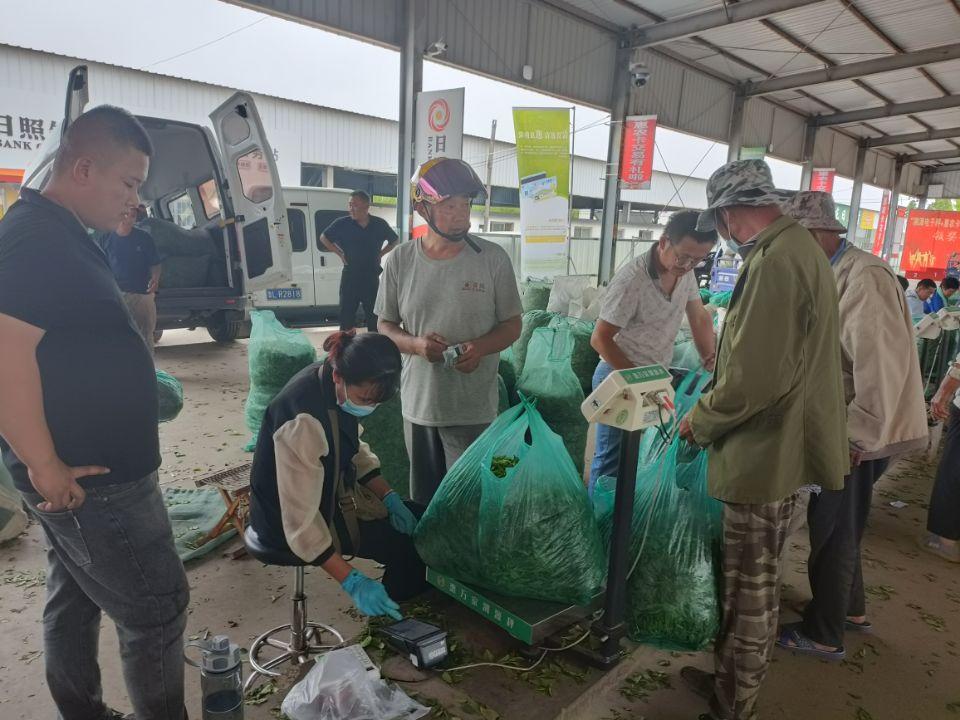 无需实名即可办理POS机吗？探究背后的真相