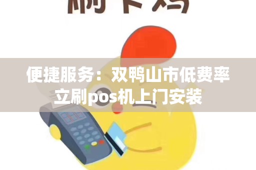 双鸭山POS机办理全解析，一站式服务指南