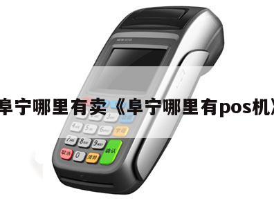 掌握金融脉搏——阜宁县POS机办理全攻略