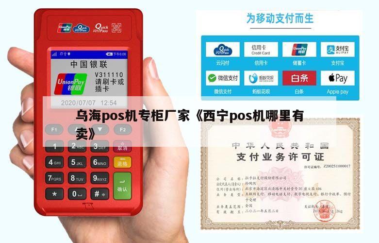 乌海富POS机办理全攻略，申请、使用与维护一站式服务