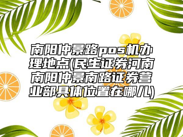 南阳仲景路POS机办理全攻略