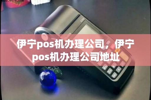 伊宁市POS机办理全攻略